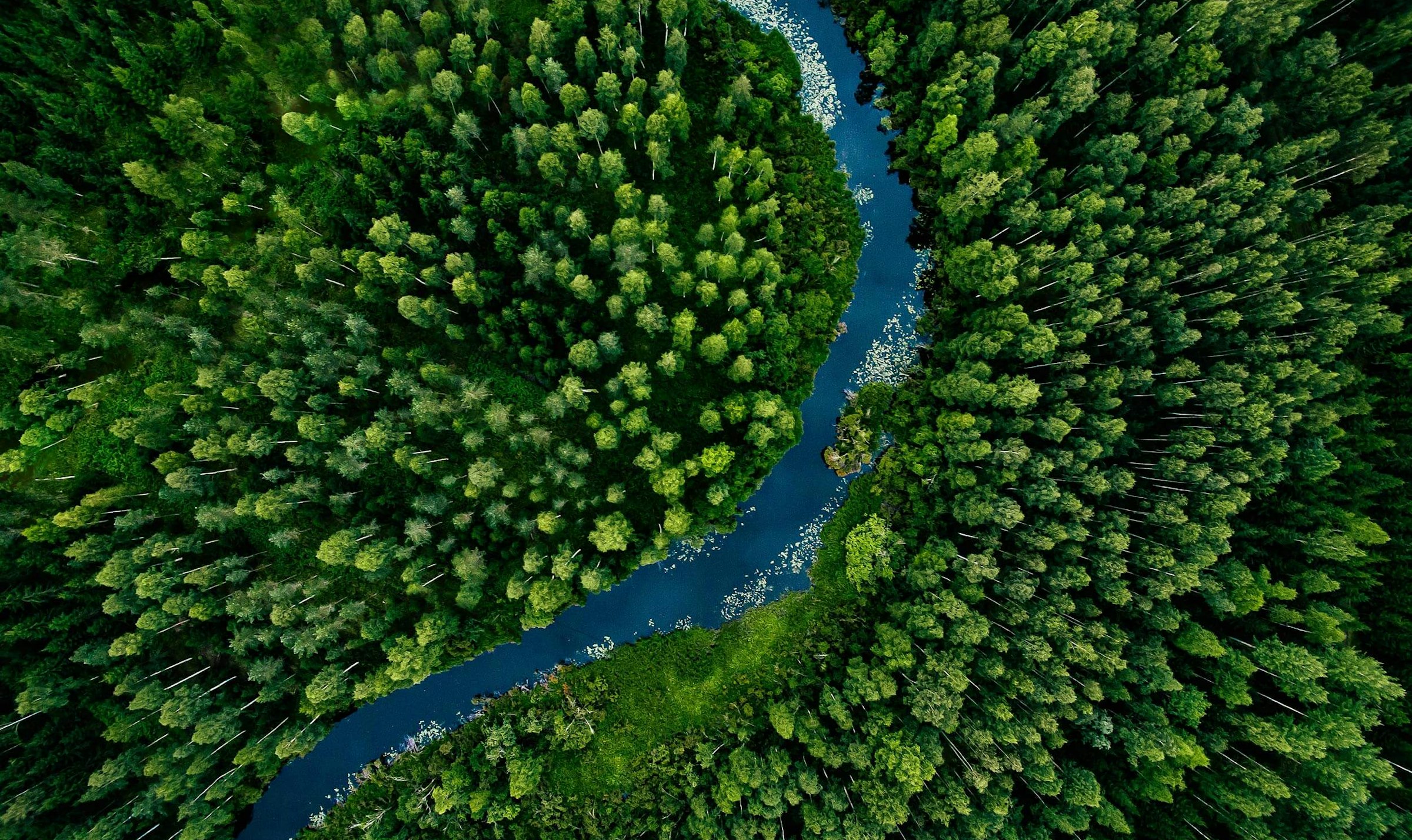 Go green with Torus specs and data