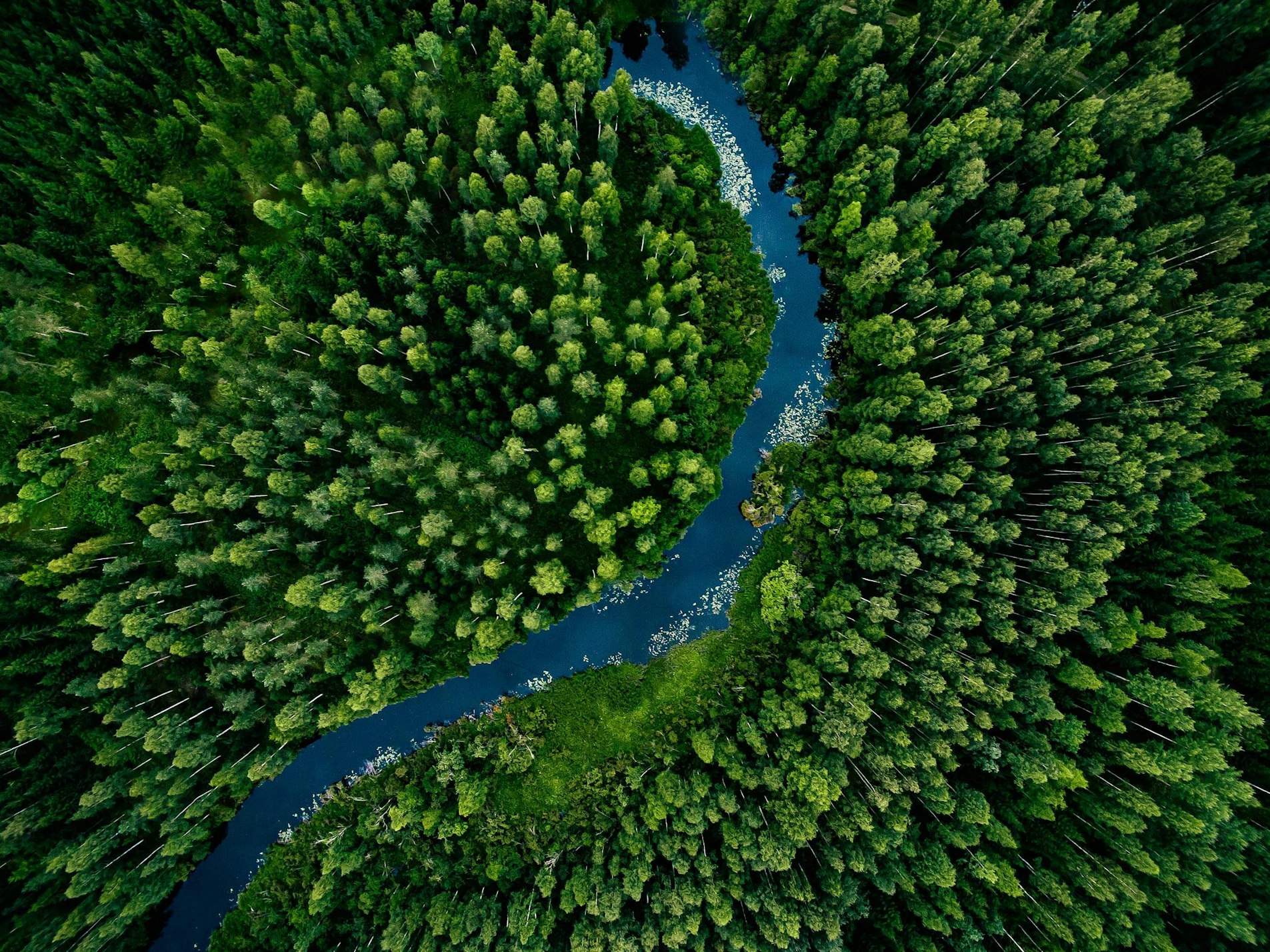 Go green with Torus specs and data