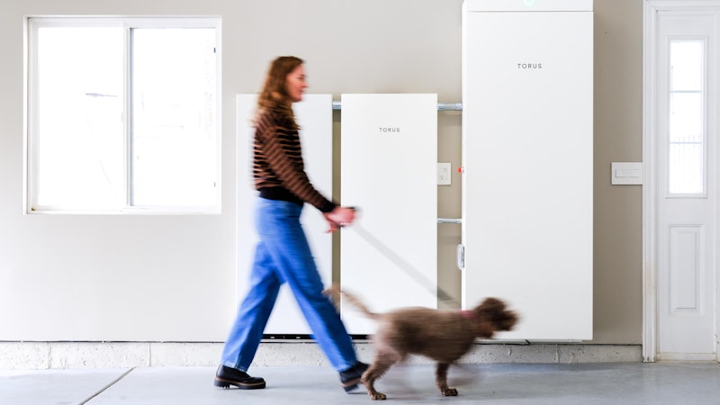 Torus battery wall with the homeowner and their dog walking past on the way into the home.