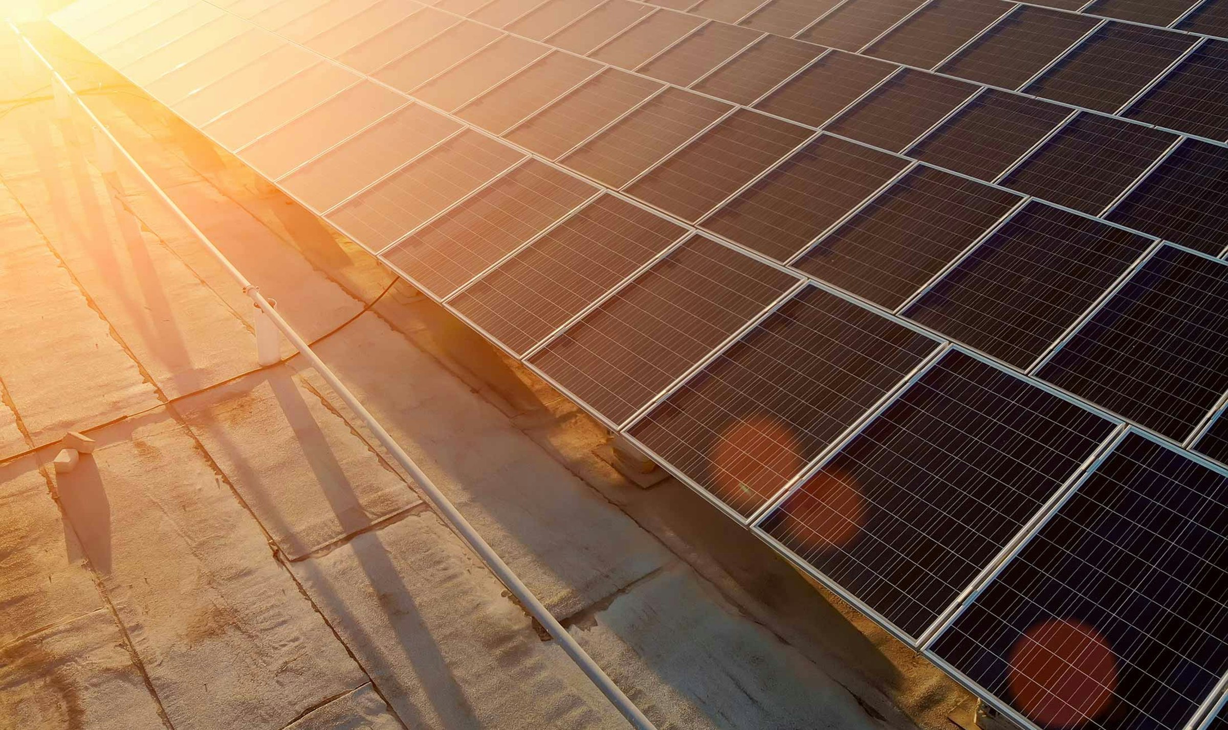 Commercial solar farm with warm sunset light shining on the panels.