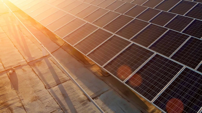 Commercial solar farm with warm sunset light shining on the panels.