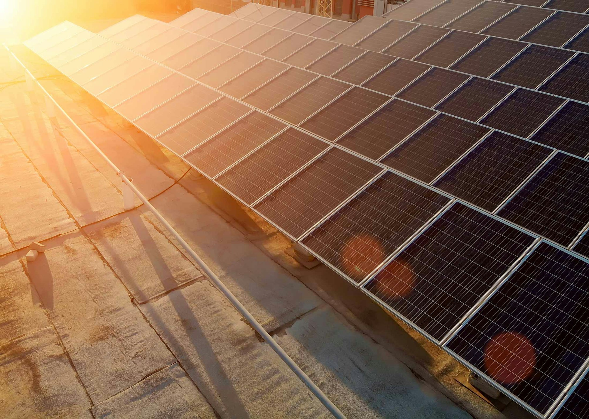 Commercial solar farm with warm sunset light shining on the panels.