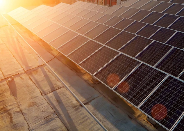 Commercial solar farm with warm sunset light shining on the panels.