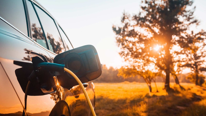 EV being charged backlit against the sunset through trees.