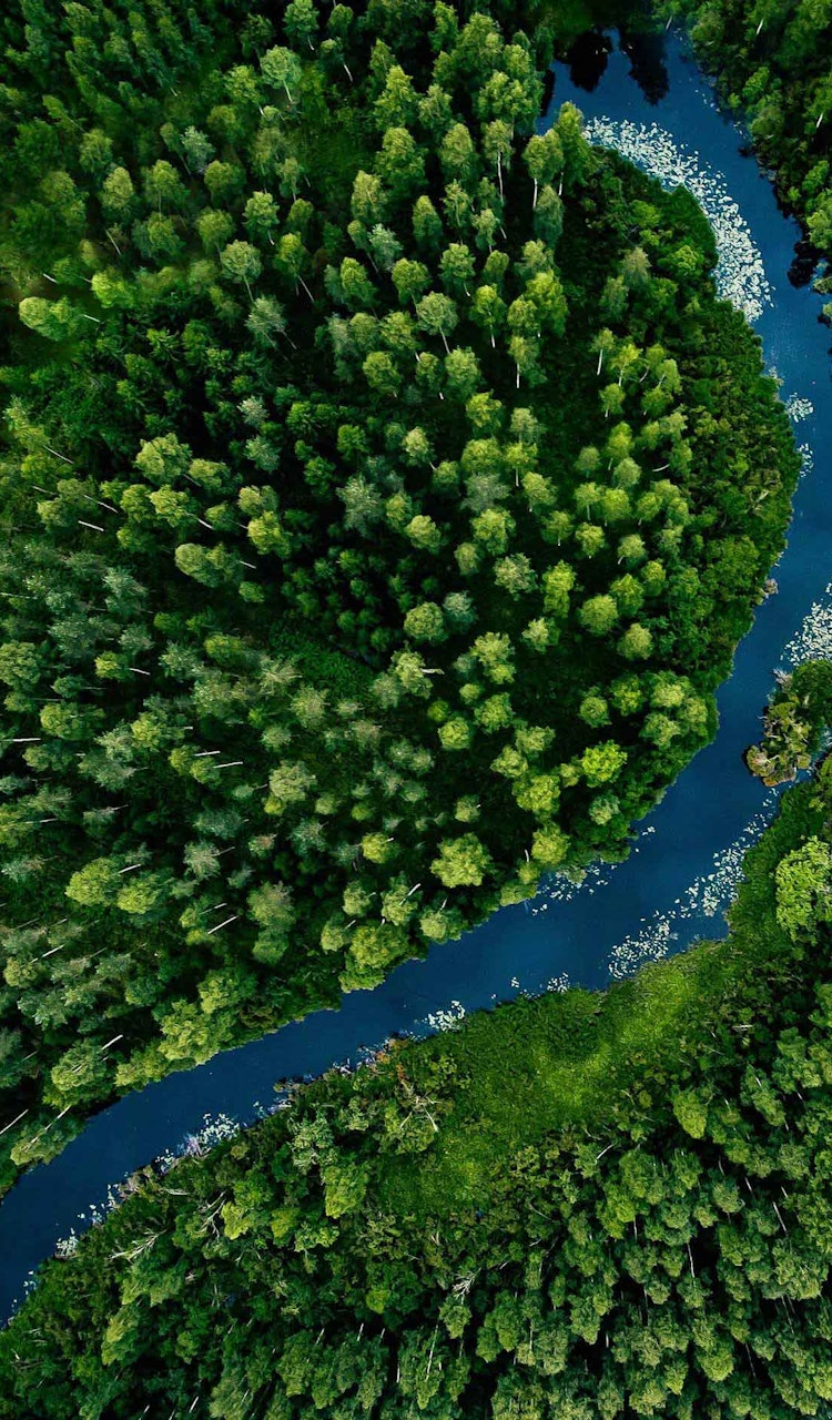 Go green with Torus specs and data