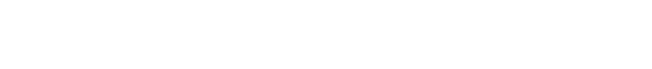 Torus Utility Partners