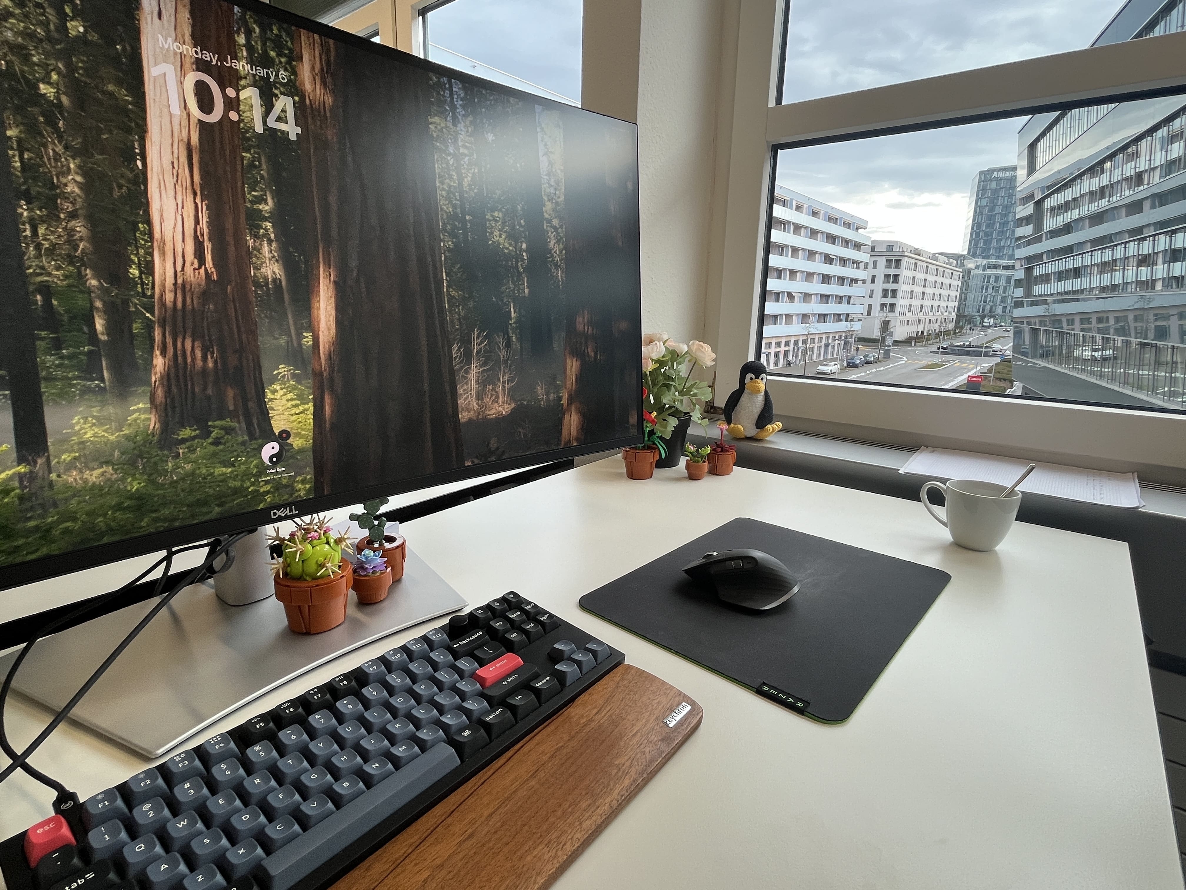 View from Renuo office