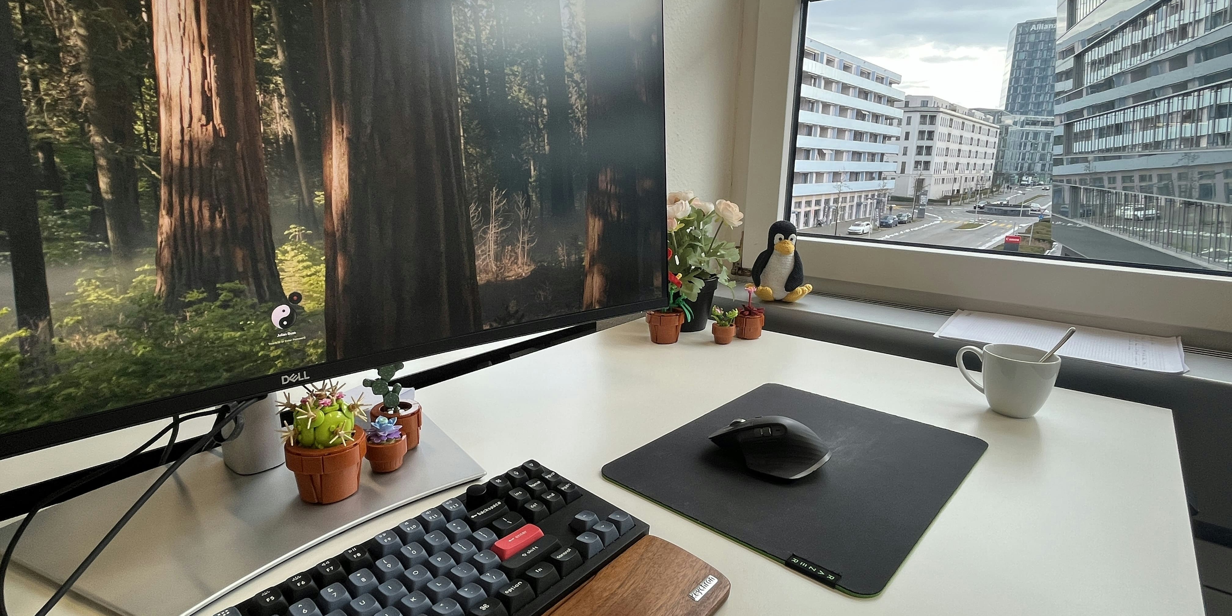 Blog about the Renuo intern experience View from Renuo office