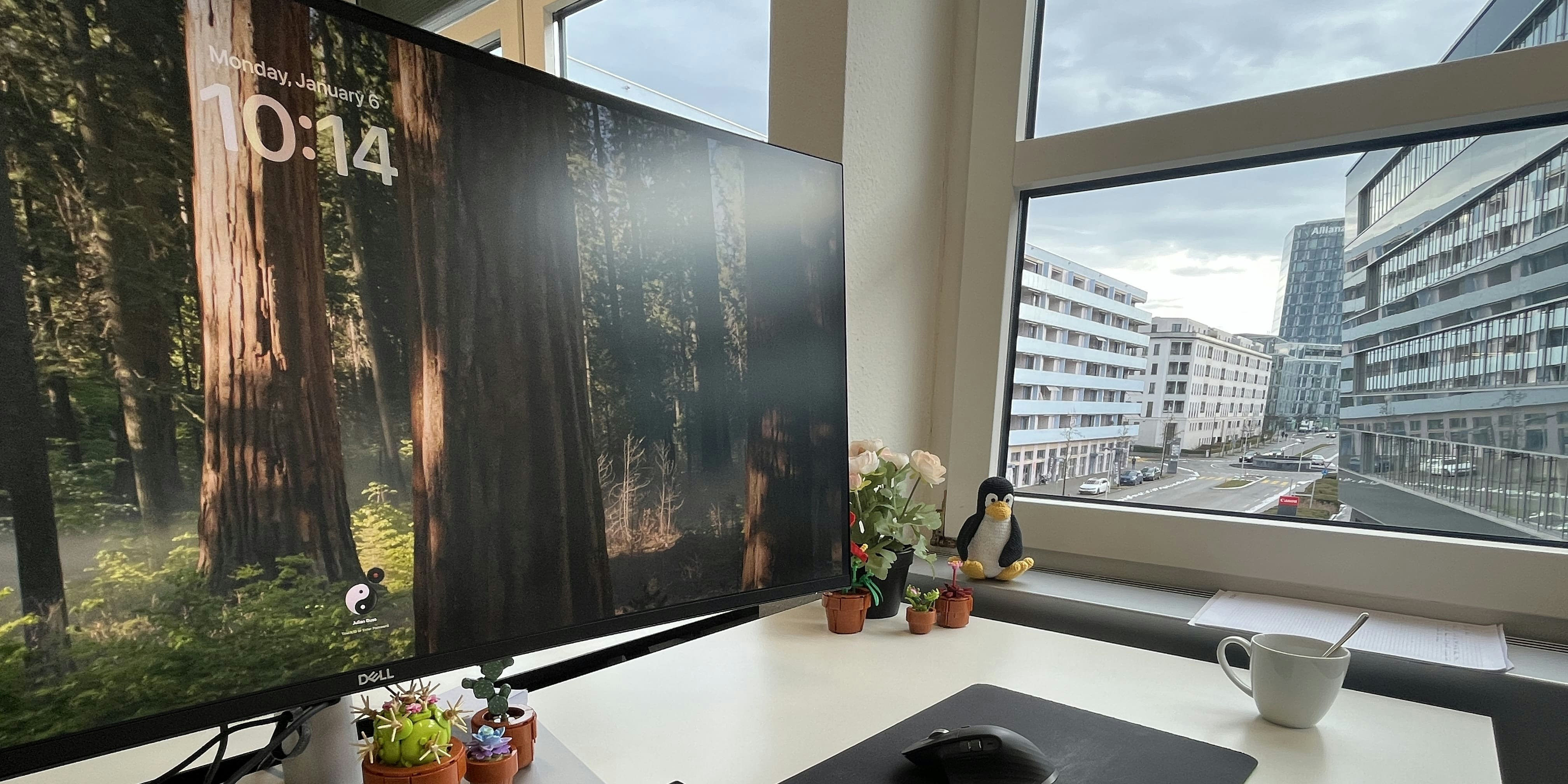 Blog about the Renuo intern experience View from Renuo office