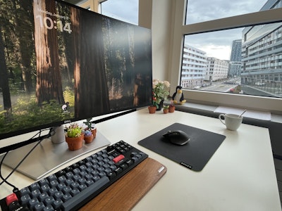 View from Renuo office