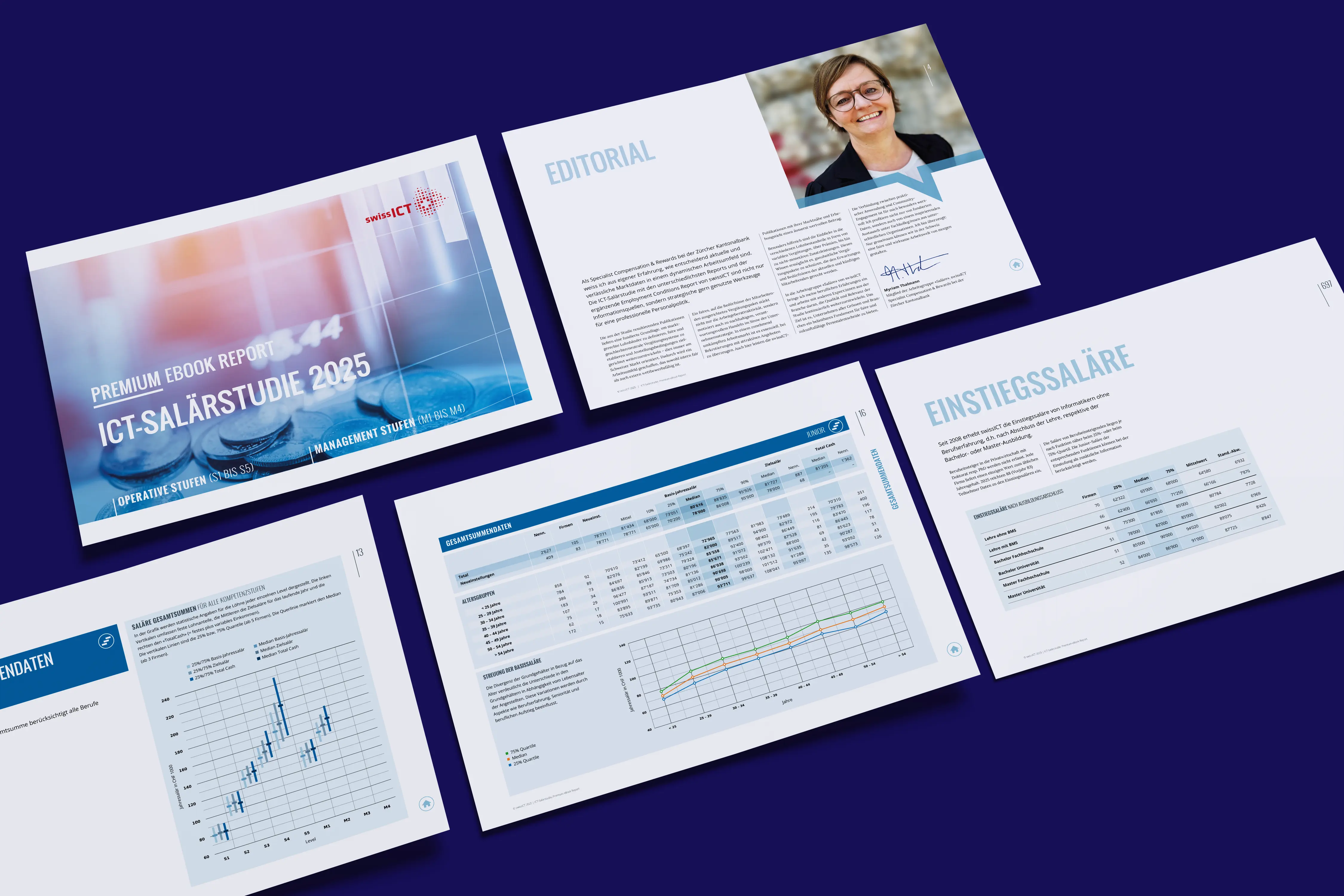 swissICT Salärstudie gehostet auf Deploio