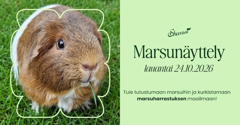 Marsunäyttely 24.10.26 Marsunäyttely 24.10.26