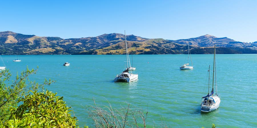 A Hamilton couple’s epic sailing trip around New Zealand