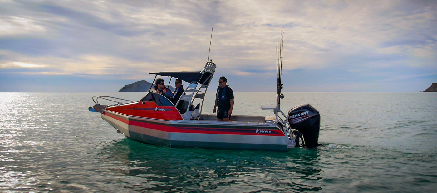 Profile Boats fishing boat