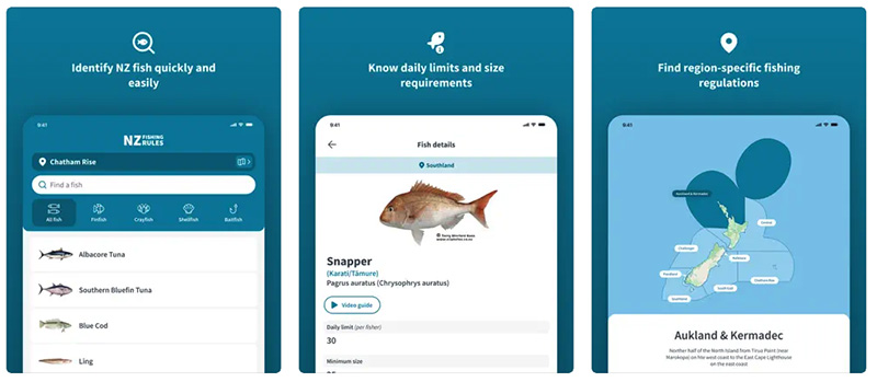 Nz fishing rules sapp