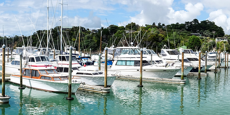 boats in a marina in new zealand waters
