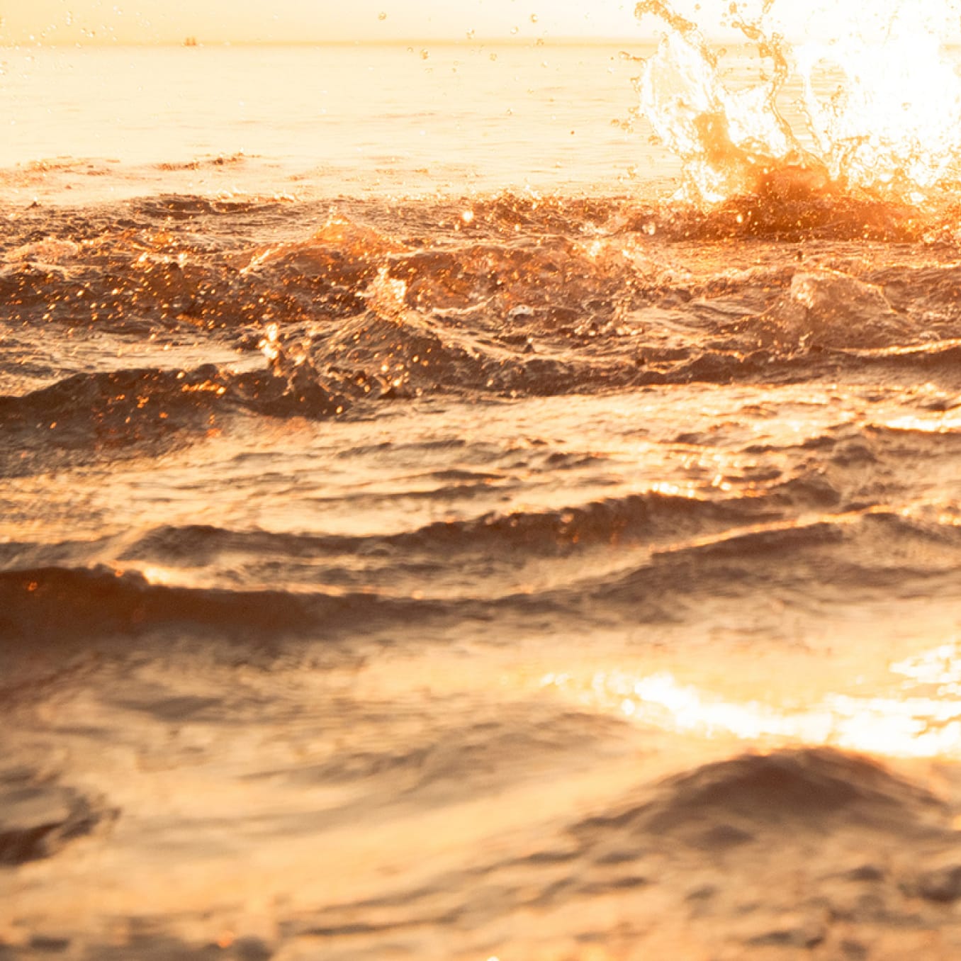 Porcelain Veneers Charleston Dental Veneers in Charleston, SC