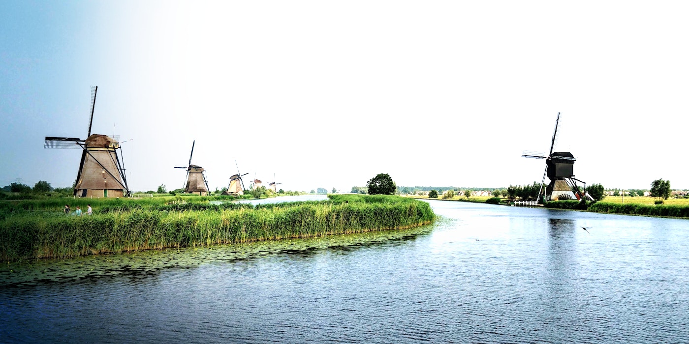 Study in the Netherlands: 5 Things You Should Know