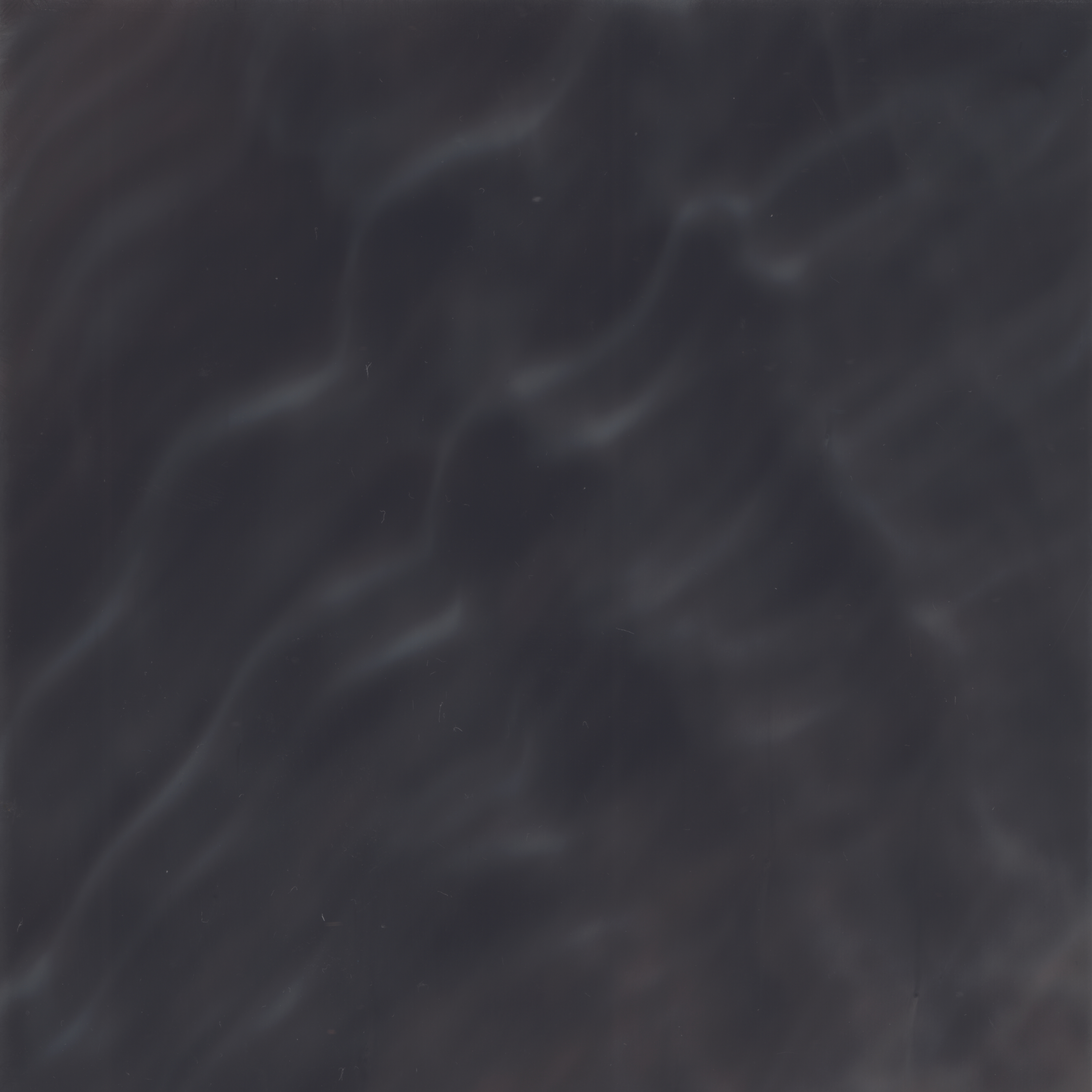 midnight shell colour