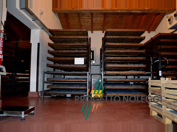 Master DH 26 - Essiccazione grappoli uva Master DH 26 - Essiccazione grappoli uva