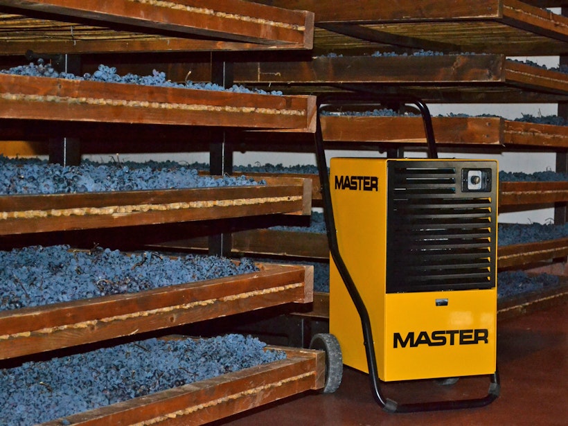 Master DH 26 - Essiccazione grappoli uva