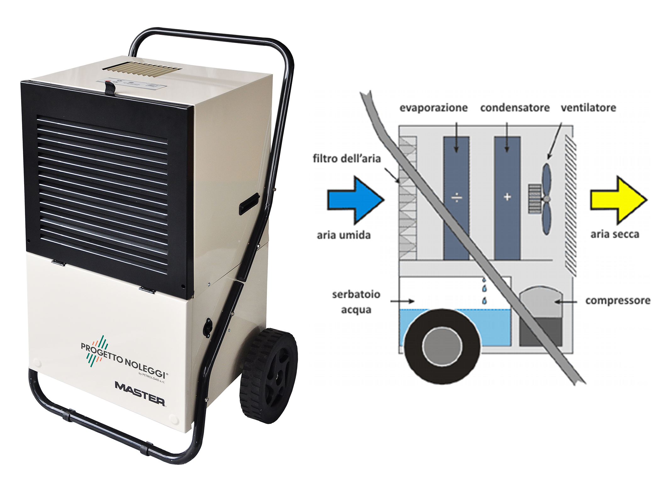 A casa, in ufficio o in cantiere, assicurati di scegliere il Master dei deumidificatori!