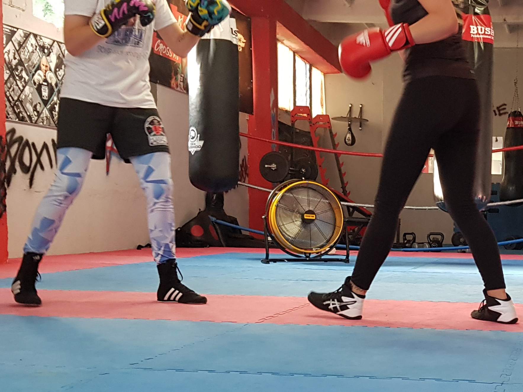 Ventilatore df 20 palestra arti marziali