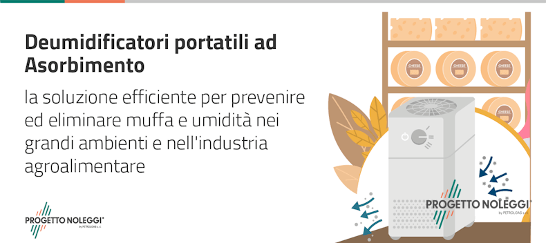 Deumidificatori Portatili ad Adsorbimento: la soluzione efficiente per prevenire ed eliminare muffa e umidità nei grandi ambienti e nell'industria agroalimentare