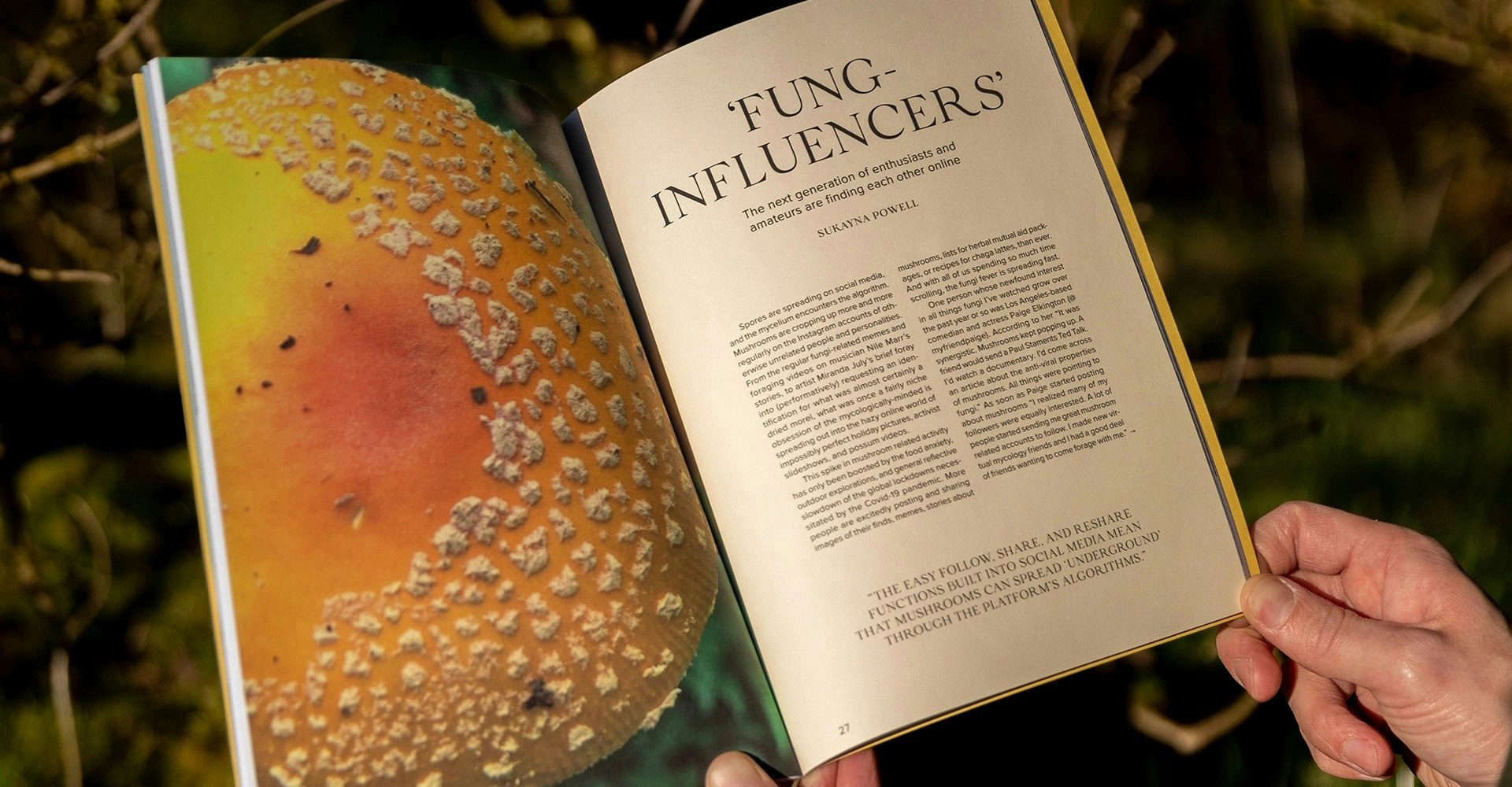 The Mushroom Magazine open with hands holding it
