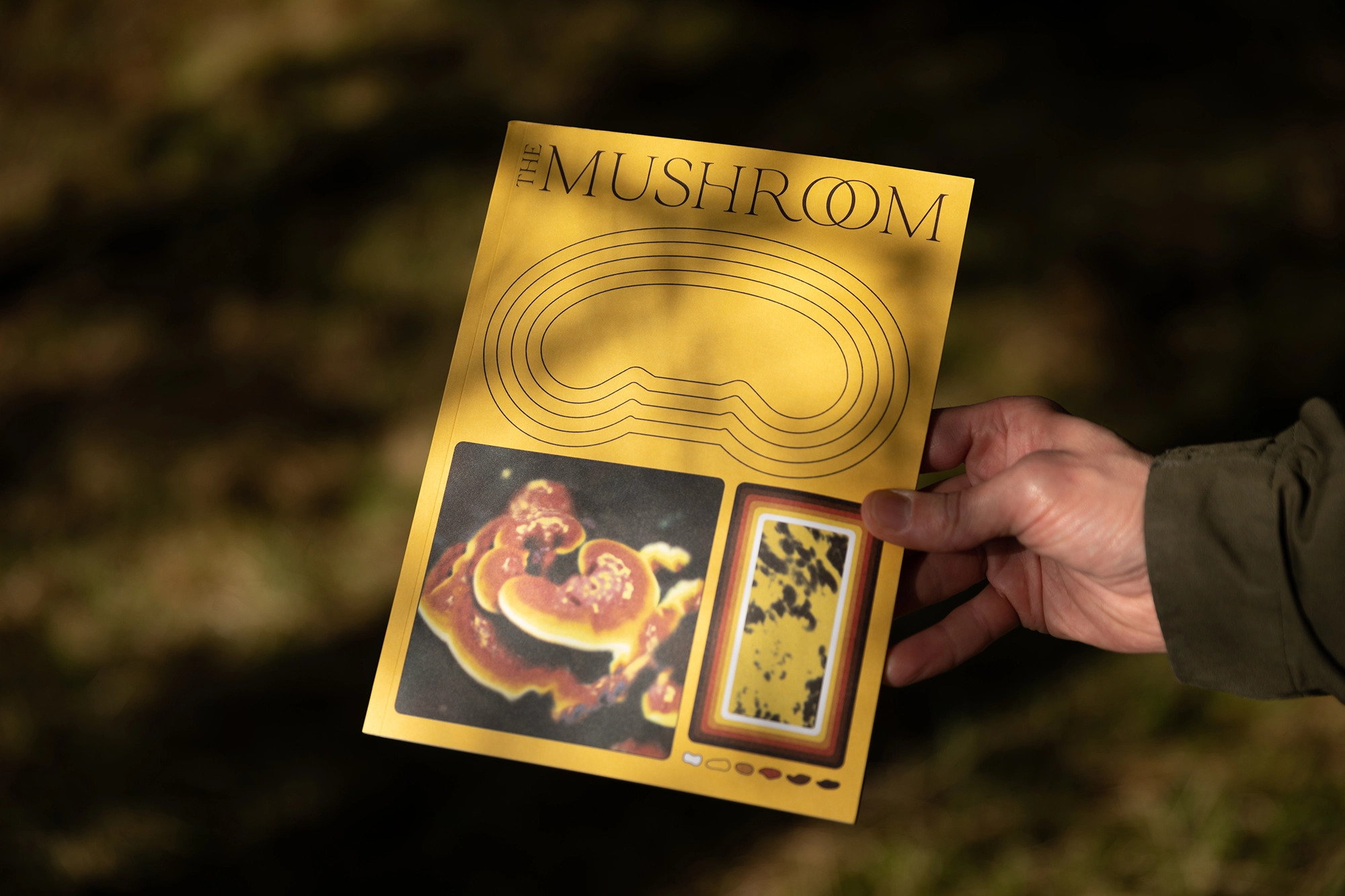 Hand holding The Mushroom Magazine