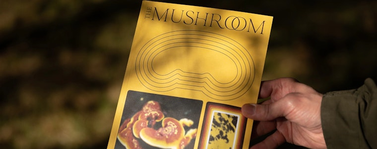 Hand holding The Mushroom Magazine