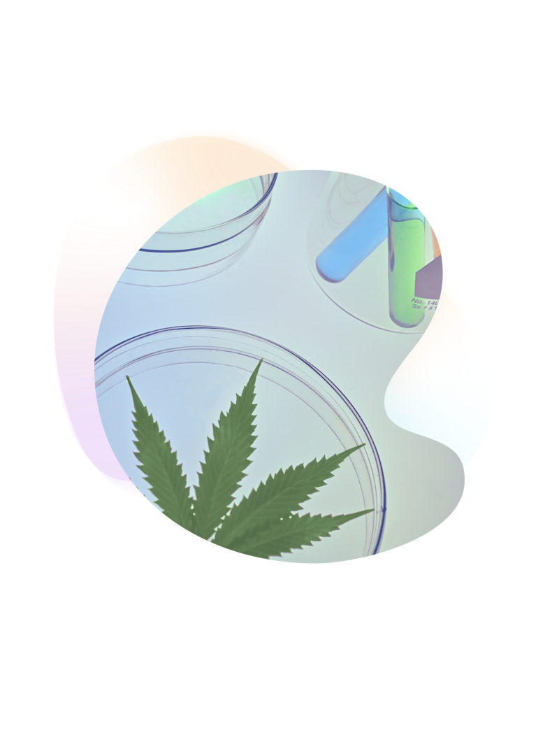 Medical cannabis