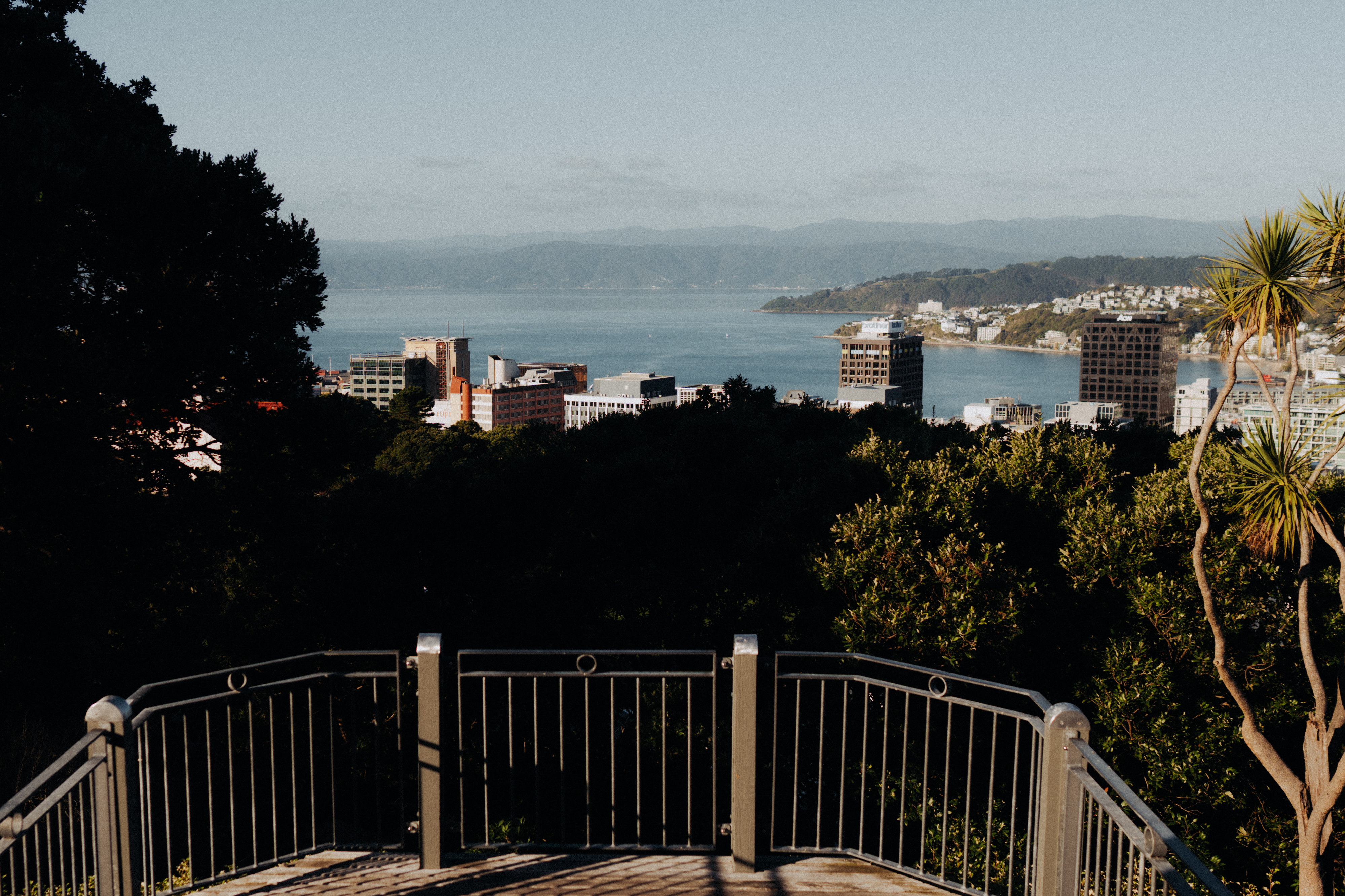 Wellington viewed from Cable Top Eatery, photo by Beeline Photography
