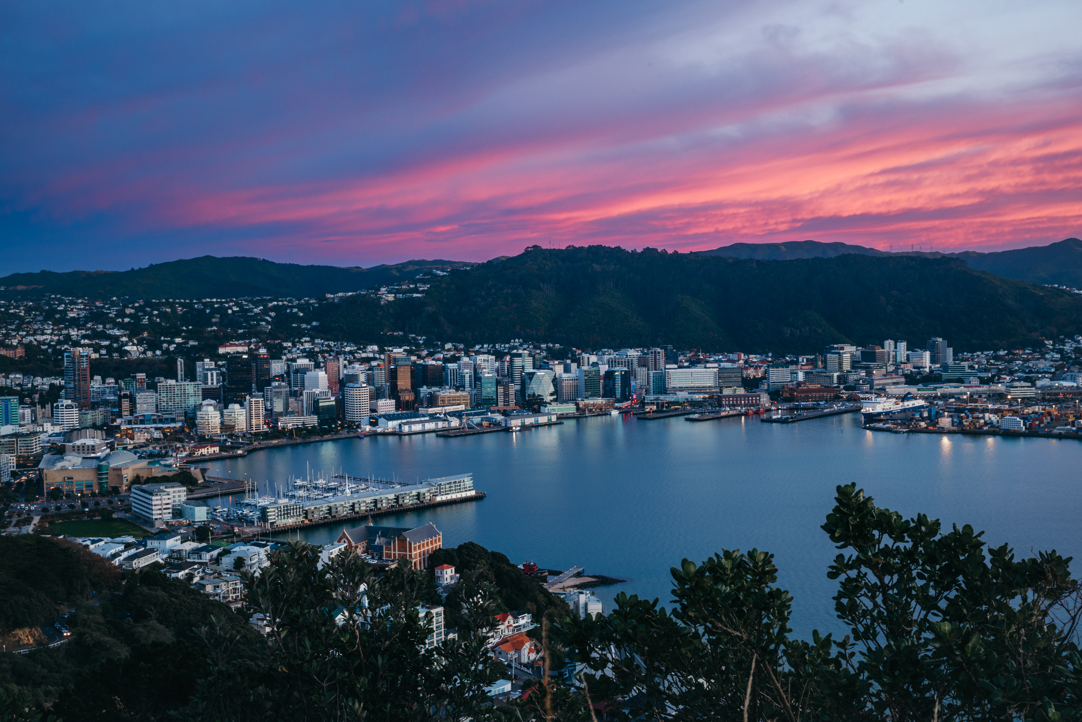 null Photo of Wellington Harbour at sunrise