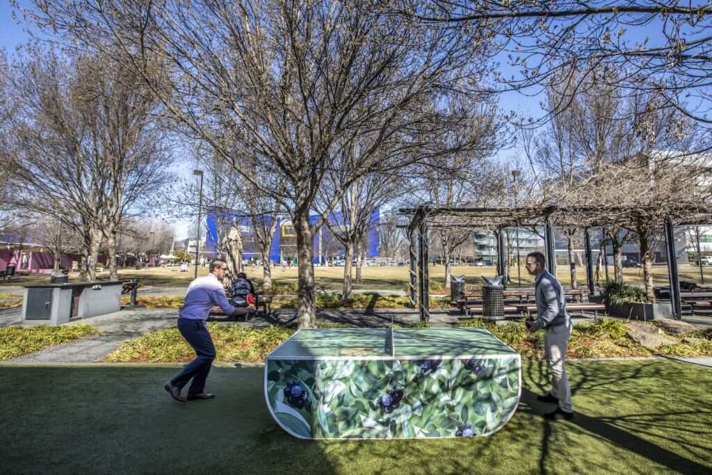 Image for Ping Pong tables in the parks