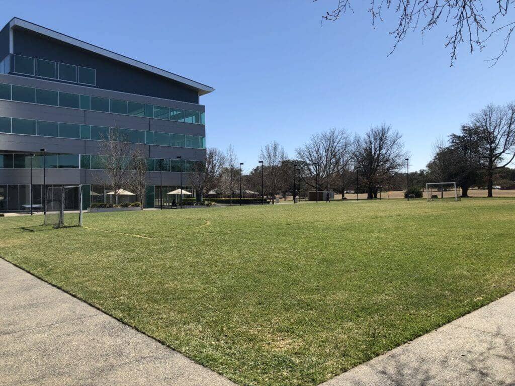 Image for Soccer field