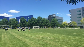 Town Square soccer field Image for Town Square soccer field
