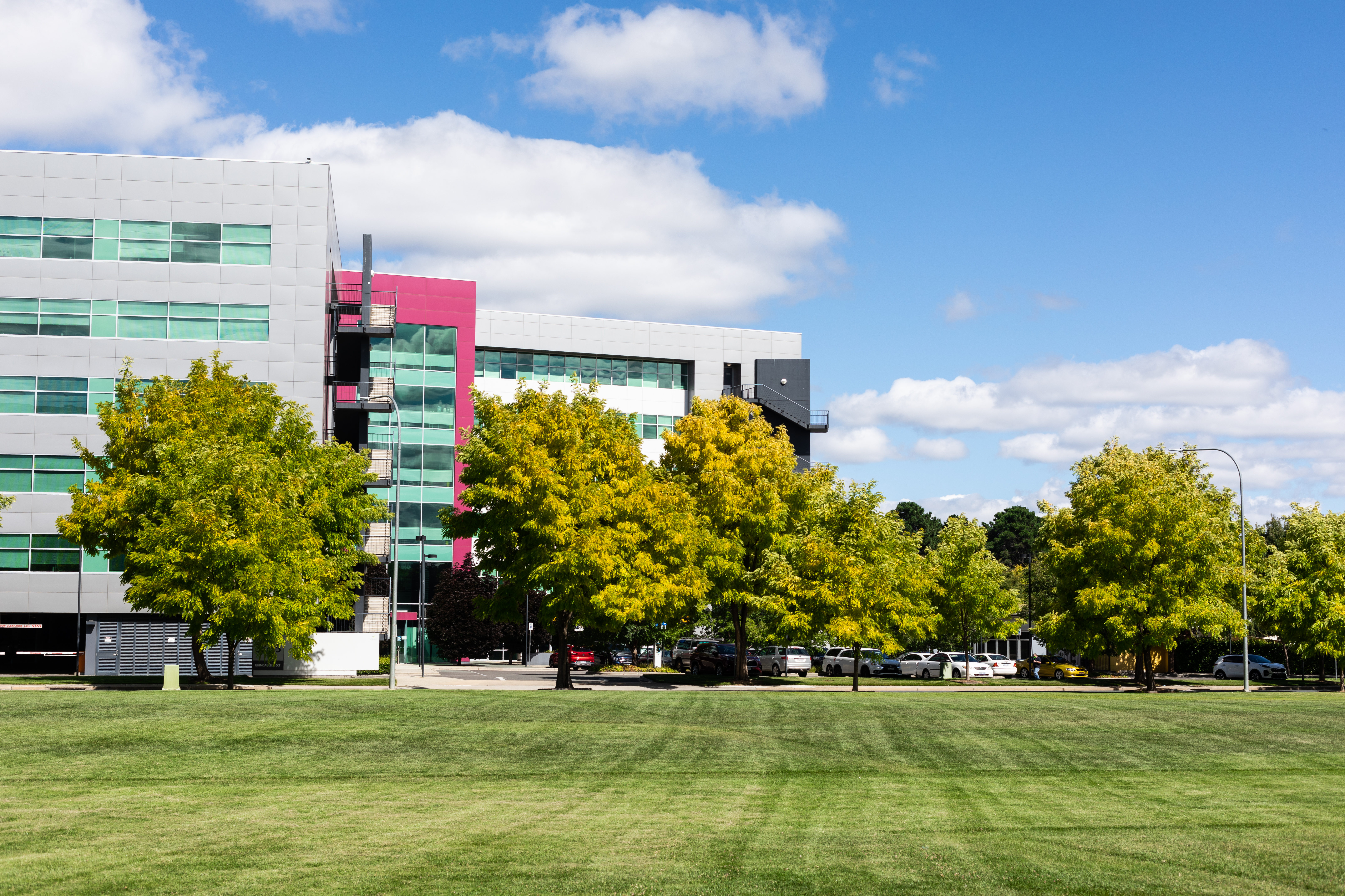 Image for Terms of Use