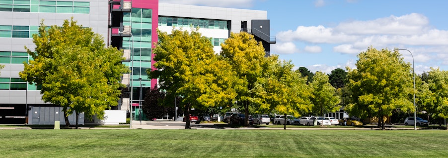 Image for Terms of Use