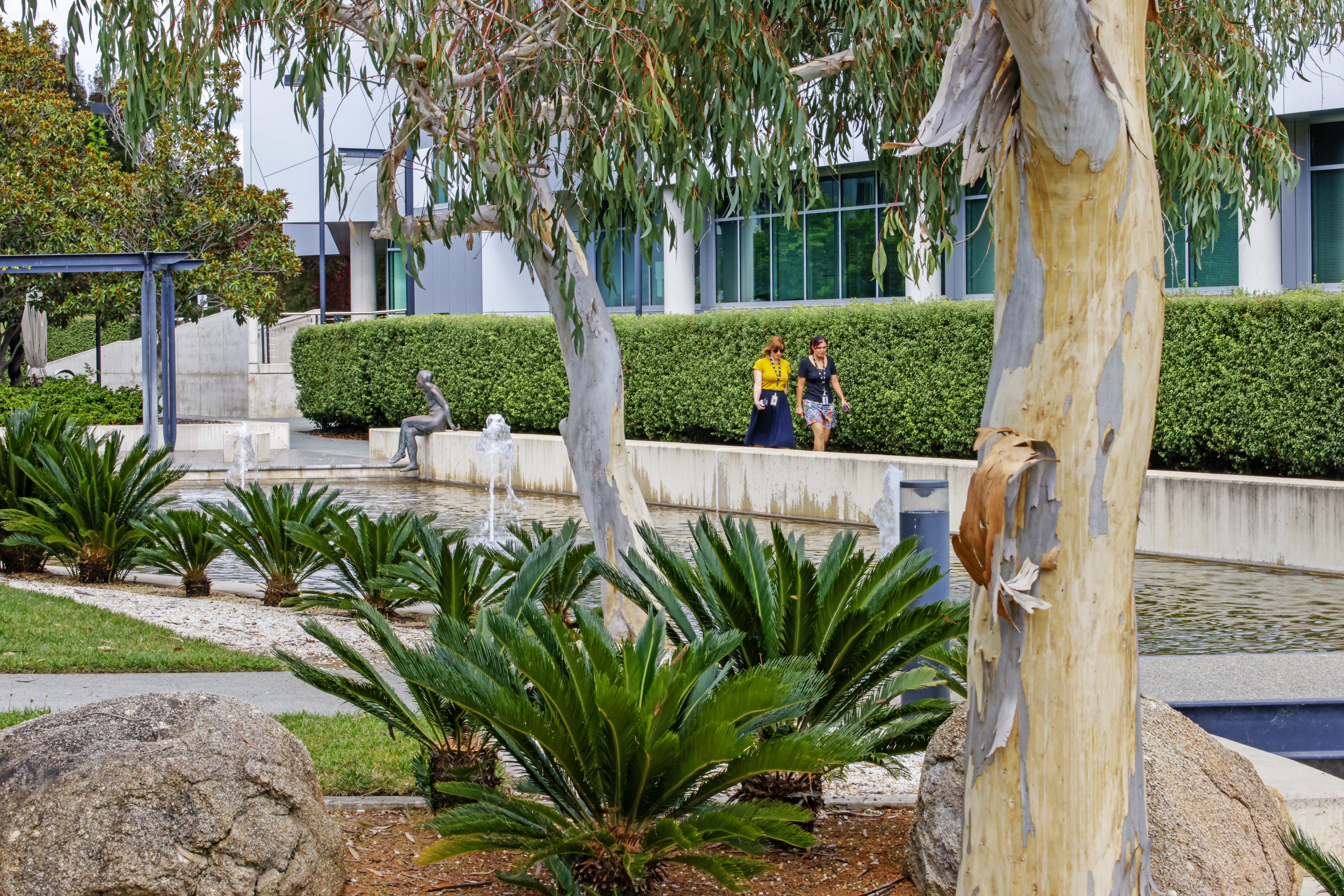 Image for Photography