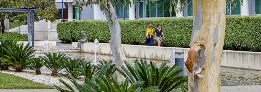 Image for Photography