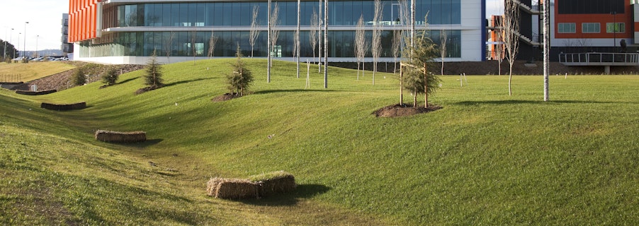 Image for Water Conservation