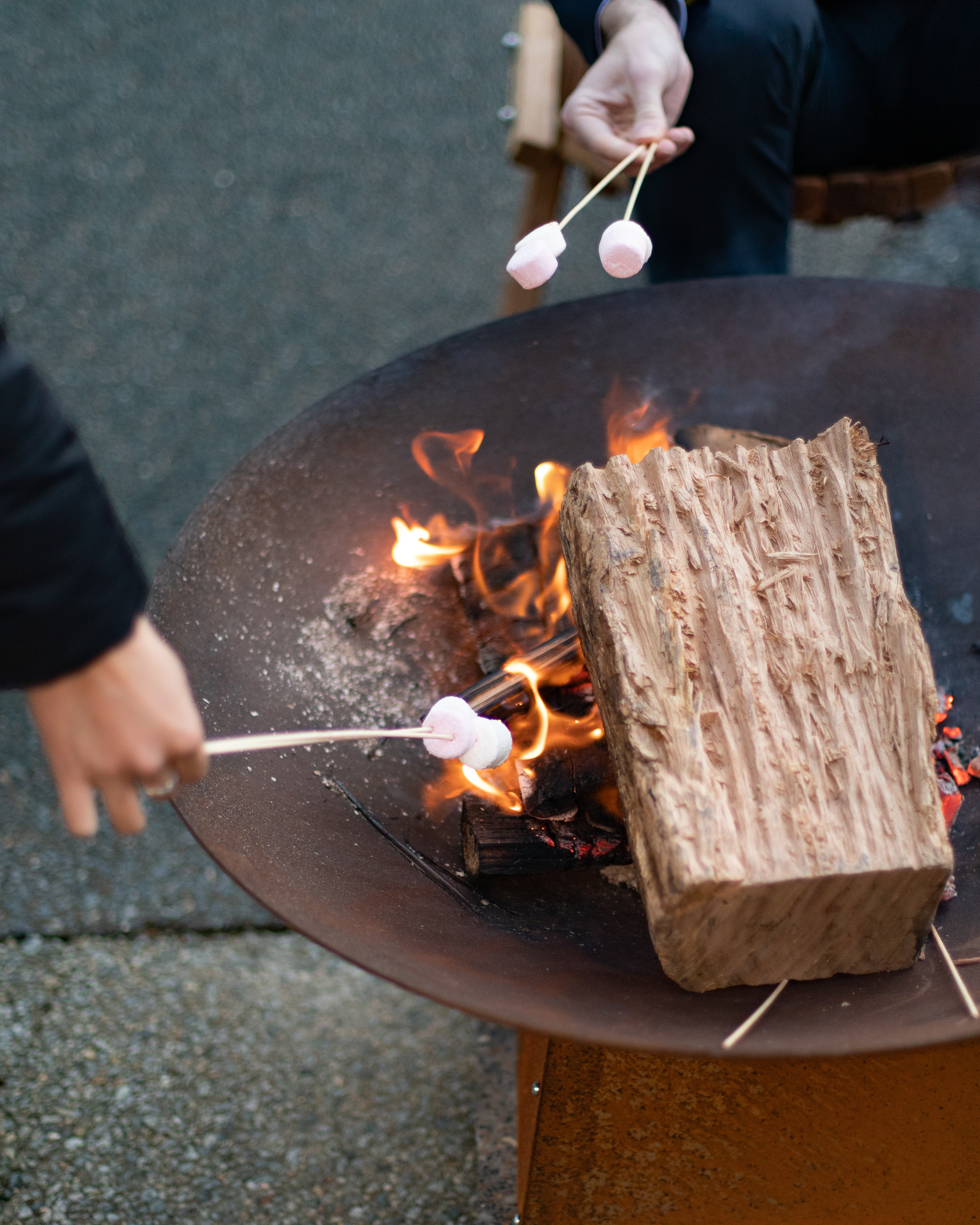 Image for Winter in the Parks