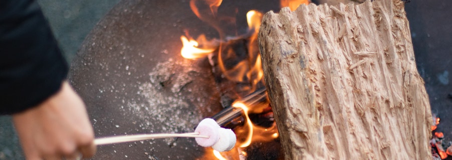 Image for Winter in the Parks