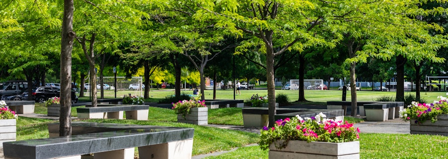 Image for Spring Wellness Series