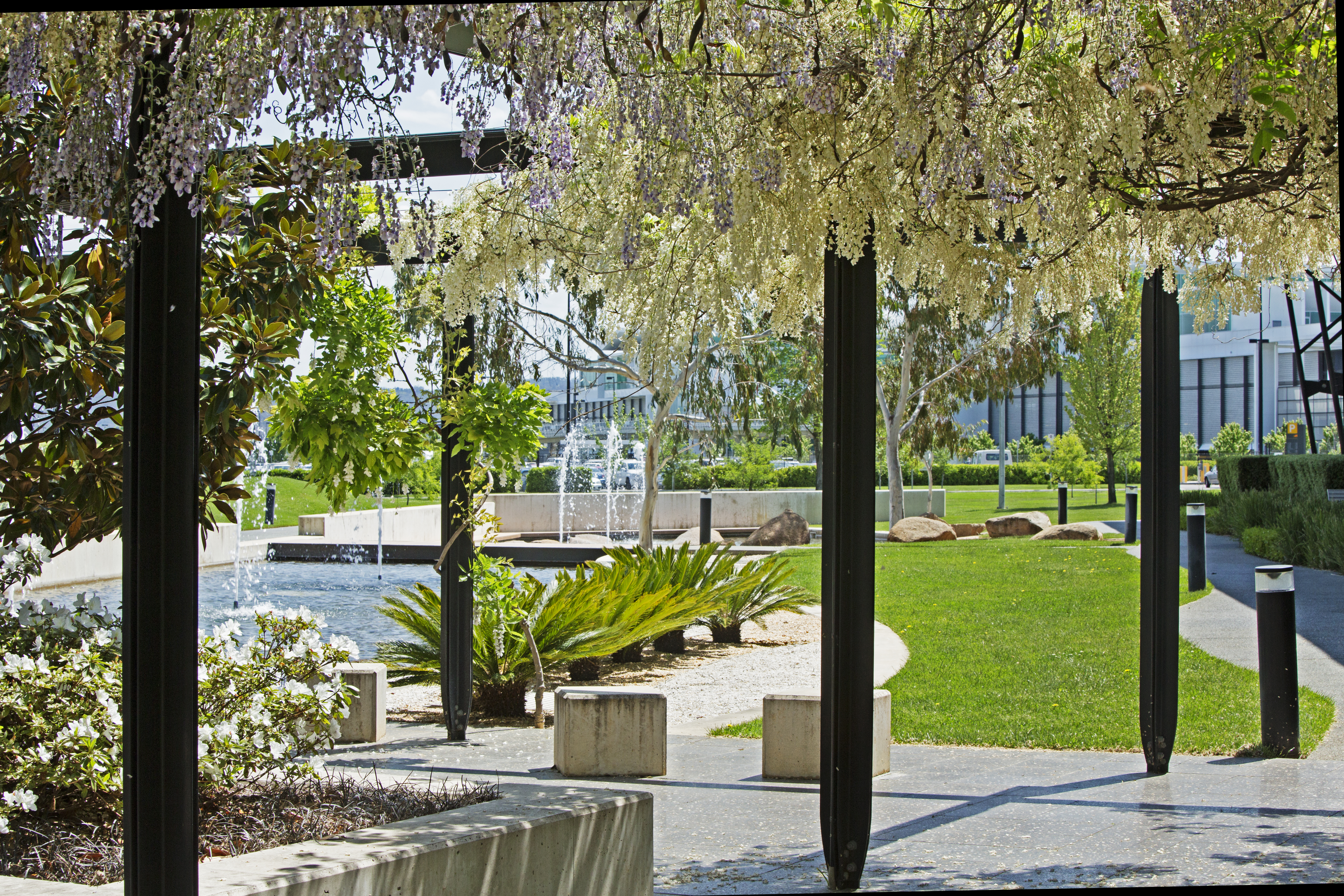 Image for Spring Wellness Series