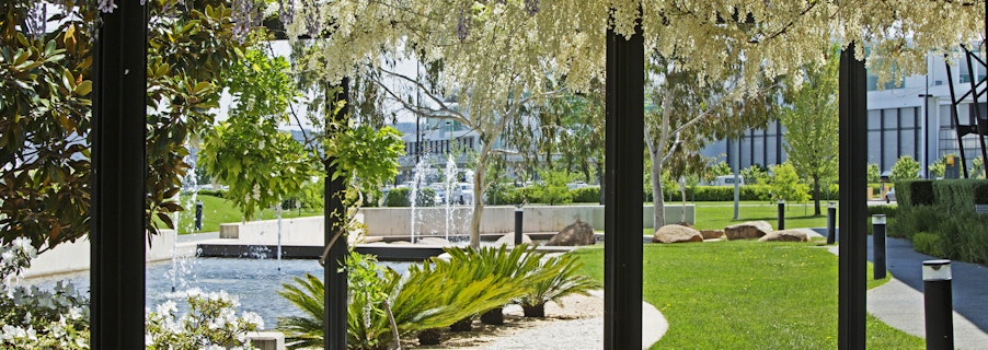 Image for Spring Wellness Series