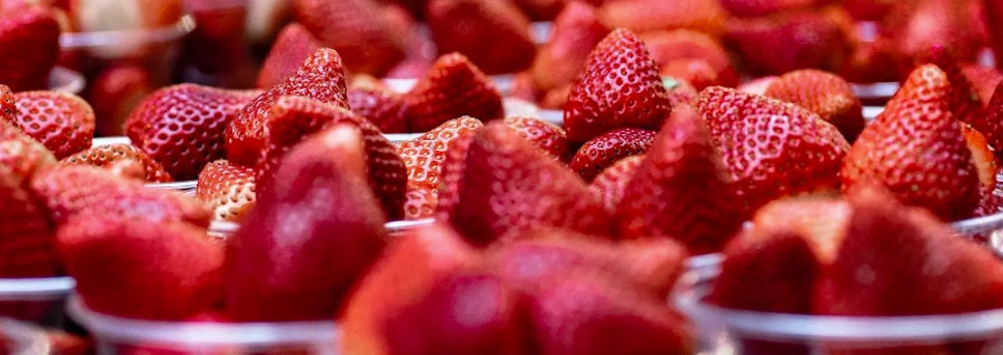 Image for Valentine's Day 2025