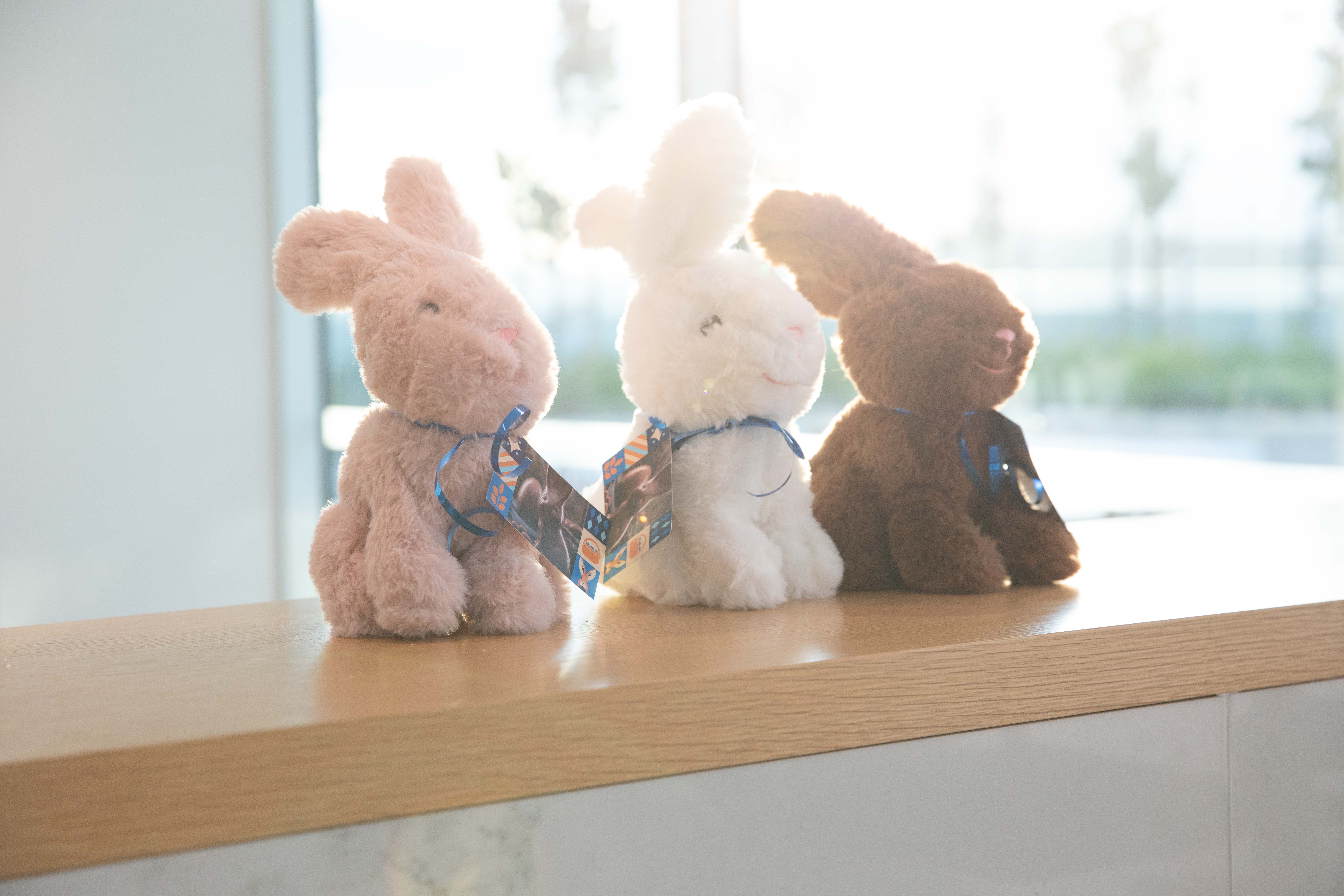 Image for Easter hunt