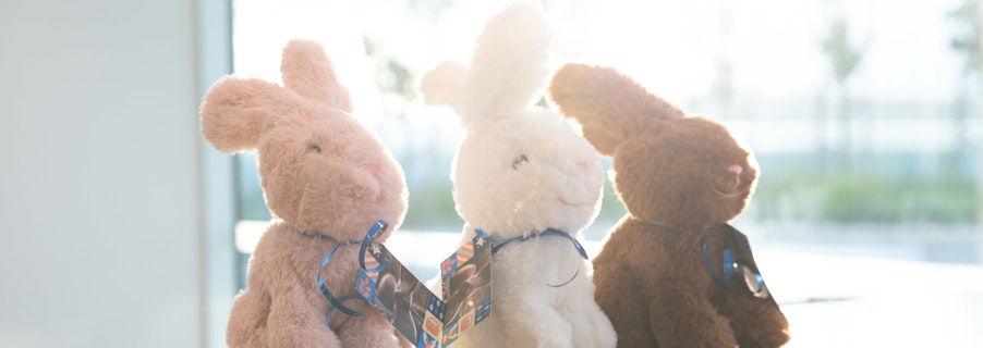 Image for Easter hunt